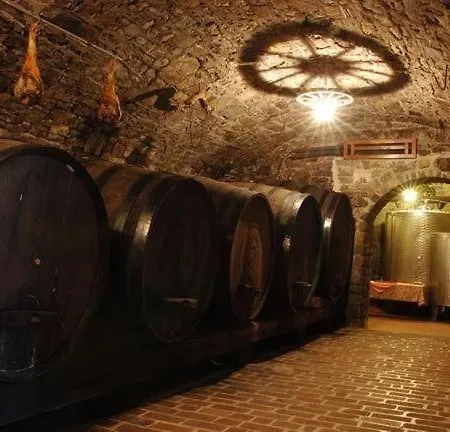 Farm stay Turisticna Kmetija Birsa Dobravlje